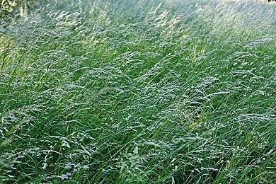 任天堂Switch 2打击黄牛政策引热议 玩家普遍反应好评支持